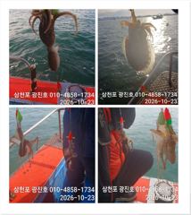 [사천] 왕쭈 장원110수 {선비,할인} 23,25,26,쭉~자리여유 예…