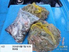 [사천] 삼천포 문어낚시 내일 출조합니다!! 5자리 예약 가능