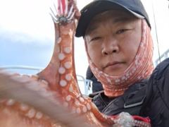 23일, 군산 왕문어가 좋다 ~문어 빅 싸이즈 게임~ 나오네요~실시간~매일출조~군산낚시프라자 스마트호