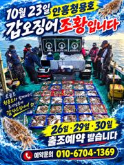 10월 23일 안흥 청용호 갑오징어 조황입니다