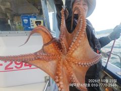 "돌문어"오늘도 1200g1000g1000g외 중. 대물들 전원 마릿수조황~^^(예약가능)