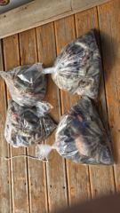 [사천] 삼천포 팔포피싱호 주중 문어 예약받습니다