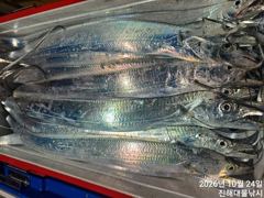 와우~24일새벽,내만칼치3지4지 용가리 엄청나게 씨알대박~토,일,월욜예약가능