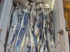 아이비호/수요일부터 쭉예약)쿨러가득!!비바람에도 대갈치 한치 삼치!!멋진손맛~바다나들이오세요!!