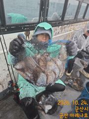* 군산 아레나호 * 10월 24일 갑오징어 조황 ~