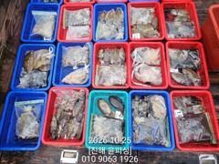 [진해] 윤피싱 쭈꾸미, 갑오징어 손맛보러 오세요~