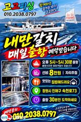 내만갈치 3지급이상만 피딩핑딩!! 완전대박!! 예약가능