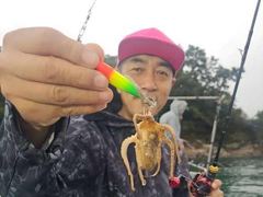 [경주] 10/25 오전 캐스팅 게임! 미터급 대삼치 외 대고시,방어 타작! (주중/주말-예약중!) 경주대삼치 전문선사!선장 정도로스입니다.금일오전 강한 장대비속캐스팅 조황입니다.1타1피!던지면 화끈하게 물어줍니다.다만 굵은 빗방울과 높은 너울파도속다수 회원님들께서 멀미로 인해