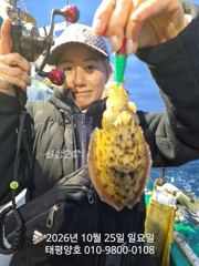 ★★ 10 / 25 [군산 대일피싱] 태평양호 갑오징어 굿조황~! 다음주 평일 예약가능~!