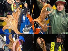 [진해] K,K,K,K,Kg급으로 올라오는 야간~돌문어 마리수 잡으러…