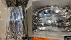 [진해] 내만칼치 오늘 소수인원이라도 달려보겠습니다 ! 황제낚시 하러 오…