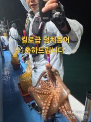 삼천포 마린보이 10. 19. 목요일 부터 가을 덩치문어 뜯으로 주간/야간 계속 출항합니다