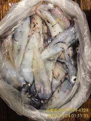 [진해] 갈치텐빈 왕갈치 잡으러갑니다! 한치는 덤 !수요일부터 예약가능