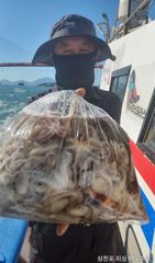 삼천포 왕주꾸미 수요일부터 고고싱 입니다.