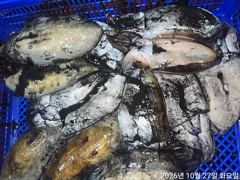 갑돌이퍽~퍽21수17수16수15수외마릿수굿~굿손맛짱!!!