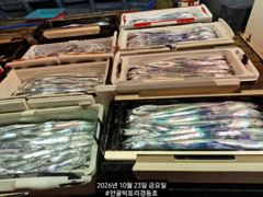 빅토리점경동호 먼바다갈치외줄16.대치찾아포인트진입하겠습니다