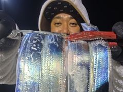 와.28일새벽,내만칼치3지4지용가리대박~엄청나게잡고쿨러가득.목욜예약가능~