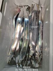 내만갈치 씨알이 굵직 굵직합니다 목요일 예약가능합니다