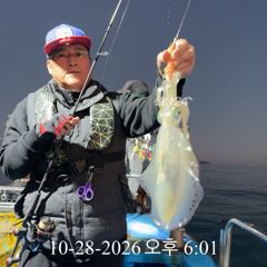 [ 무늬 팁런 ] 해 질 녘 무시급 묵직한 손맛! 물색 회복 시 마릿수 기대