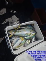 돌맹이 조황