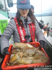 내일 갑오징어 11분예약중 9자리여유 출조확정 입니다