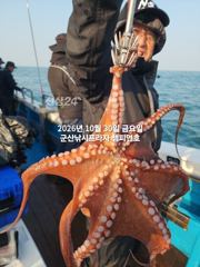 [진해] 내만 갈치 우와~~씨알이가 쥑입니다~~(일욜부터 예약 가능)