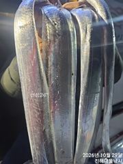 내만칼치3지4지용가리대박~엄청나게잡고씨알대박..,일.월,화욜예약가능~
