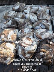군산 대호피싱 10월30일 13분의 대박조항