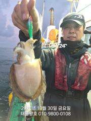 ★★ 10 / 30 [군산 대일피싱] 태평양호 갑오징어 굿조황~! 다음주 정상출항 단체예약도가능합니다.