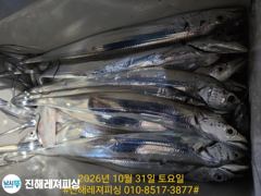 내만칼치ㅡ와우~씨알 대박~3지4지급으로 손맛굿(일요일예약가능