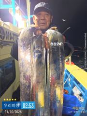 갈치(텐빈. 텐야) 조황입니다. (일요일 예약가능)