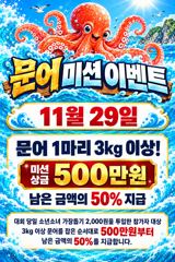 뉴오리온호 갑오징어 낚시 실시간조황 (31일)