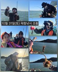 [피닉스피싱호] 10월 31일(토) 체험낚시 조황 - 낱마리에도 웃어주신 조사님들, 정말 감사합니다